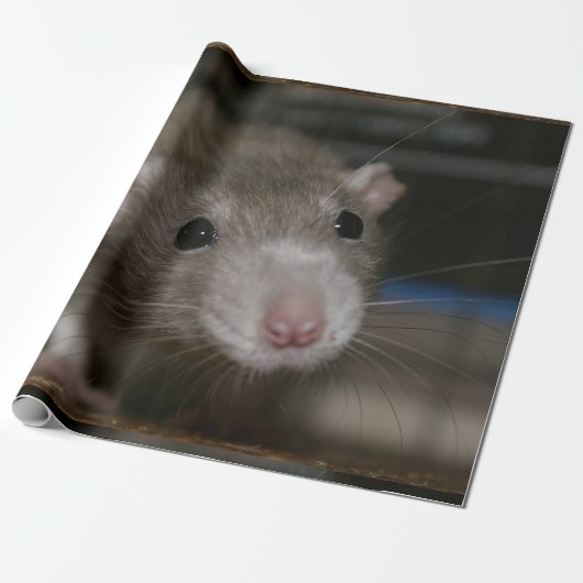 Neugierige Ratte Geschenkpapier (Ungerollt)