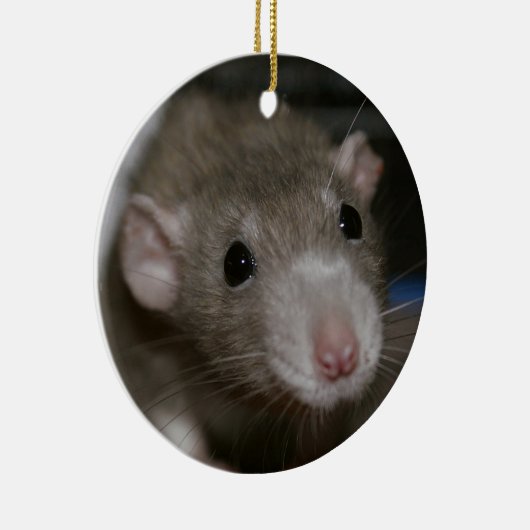 Neugierige Ratte Keramik Ornament (Rechts)