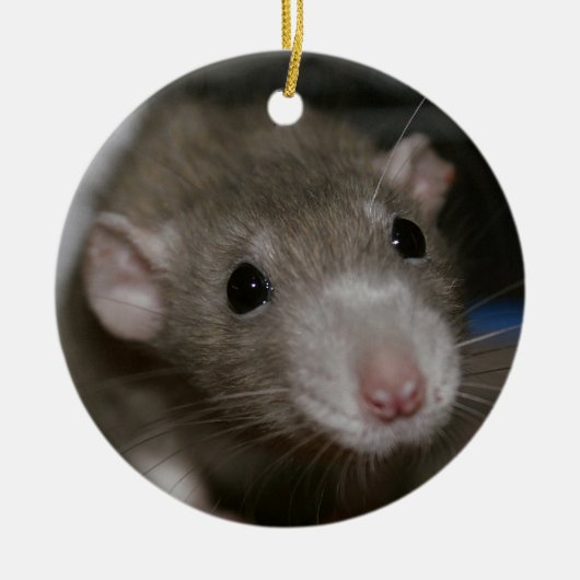 Neugierige Ratte Keramik Ornament (Vorne)