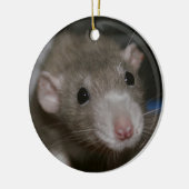 Neugierige Ratte Keramik Ornament (Links)