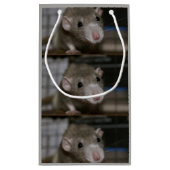 Neugierige Ratte Kleine Geschenktüte (Rückseite)