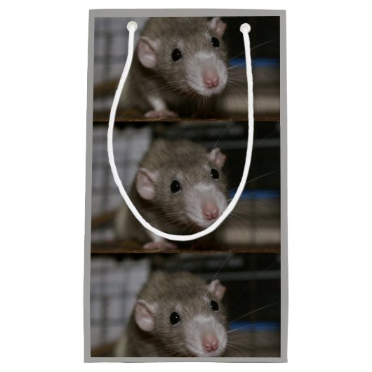 Neugierige Ratte Kleine Geschenktüte (Vorderseite)