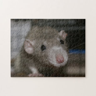Neugierige Ratte Puzzle