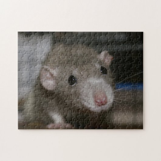 Neugierige Ratte Puzzle (Horizontal)