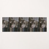 Neugierige Ratte Yogamatte (Vorderseite (Horizontal))