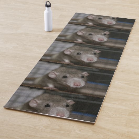Neugierige Ratte Yogamatte (Beispiel)