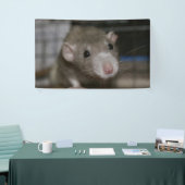 Neugierige Ratten Banner (Messeveranstaltung)