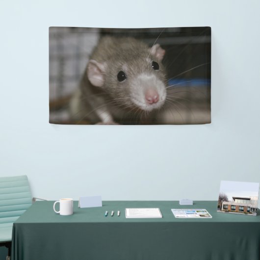 Neugierige Ratten Banner (Messeveranstaltung)