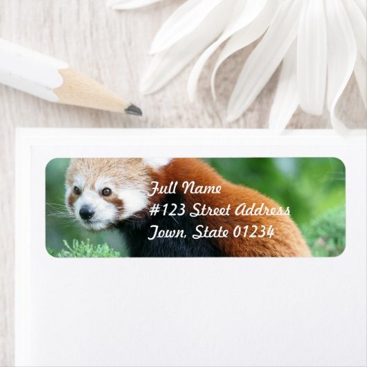 Neugierige Red Panda Mailing Labels (Insitu)