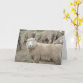 Neugierige Schafe Karte (Gelbe Blume)