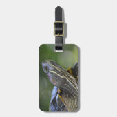 Neugierige Schildkröte Gepäckanhänger (Vorderseite vertikal)