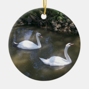 Neugierige Schwan-Verzierung Keramik Ornament