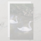 Neugierige Schwans Stationery Briefpapier (Vorne/Hinten)