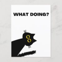 Neugierige schwarze Katze-Postkarte