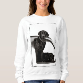 Neugierige schwarze Labradore - Sweatshirt