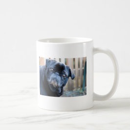 Neugierige schwarze Mops-Tasse Kaffeetasse