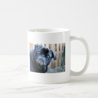 Neugierige schwarze Mops-Tasse Kaffeetasse