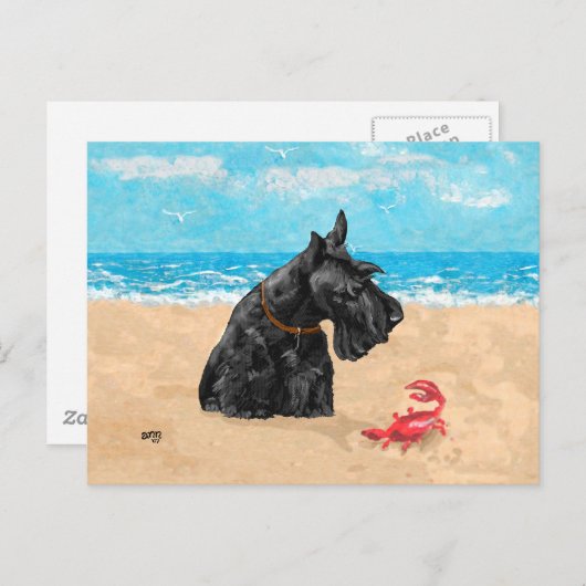 Neugierige Scottie am Strand Postkarte (Vorne/Hinten)