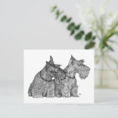 Neugierige Scottish Terriers Pen & Ink Sketch Postkarte (Stehend Vorderseite)