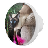 Neugierige siamesische Katze Keramikknauf (Rechts)