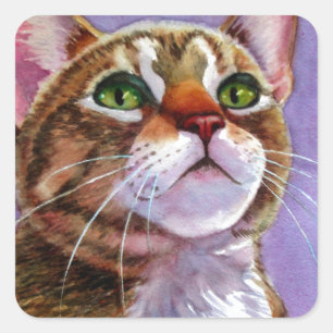 Neugierige Tabby Katze im Wasser Quadratischer Aufkleber