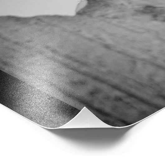 Neugierige Taube Fotodruck (Ecke)