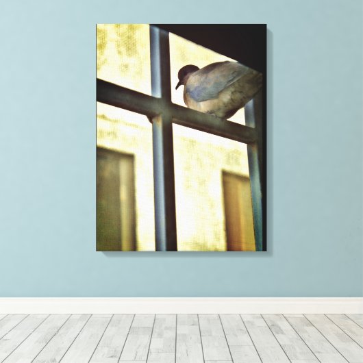 Neugierige Taube Leinwanddruck (Insitu (Holzboden))