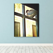 Neugierige Taube Leinwanddruck (Insitu (Holzboden))