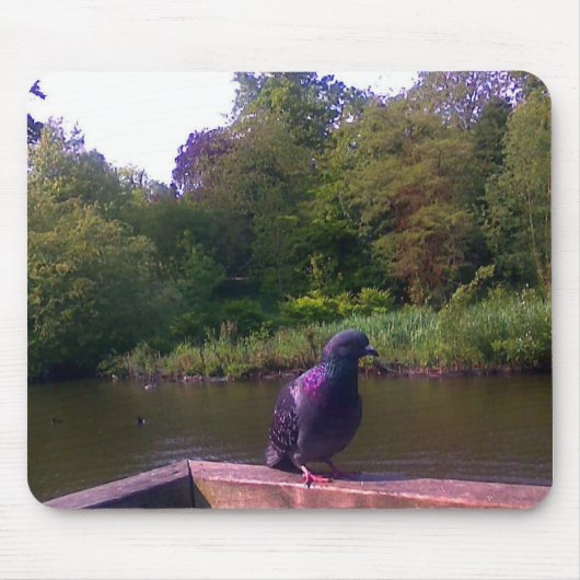 Neugierige Taube Mousepad (Vorne)