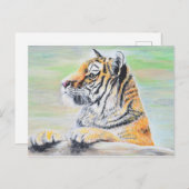 Neugierige Tigermalerei Postkarte (Vorne/Hinten)