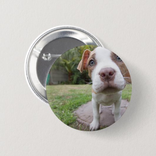 Neugierige Welpe Button (Vorne & Hinten)