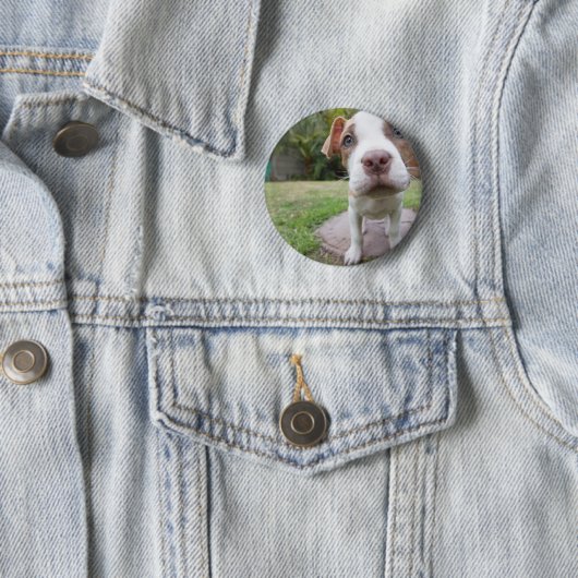 Neugierige Welpe Button (Beispiel)