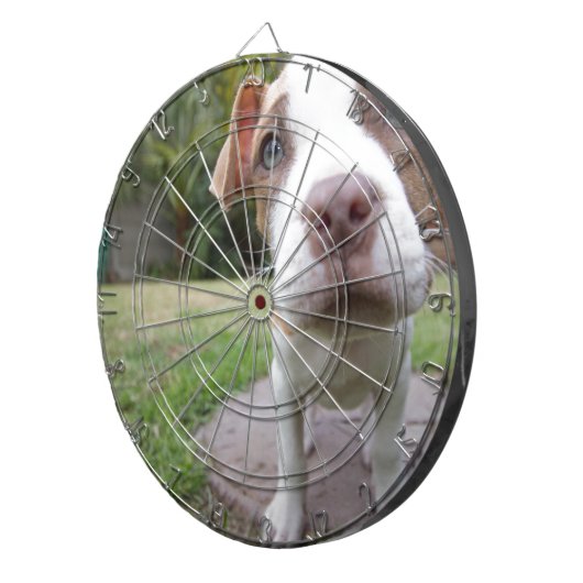 Neugierige Welpe Dartscheibe (Vorderseite rechts)