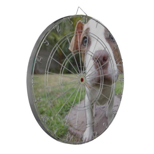 Neugierige Welpe Dartscheibe (Vorderseite Links)