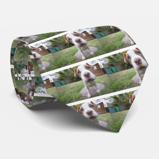 Neugierige Welpe Krawatte (Gerollt)