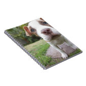 Neugierige Welpe Notizblock (Rechte Seite)