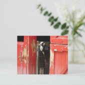 Neugierige Ziege Postkarte (Stehend Vorderseite)