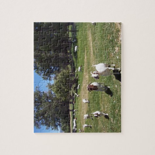 Neugierige Ziegen Puzzle (Vertikal)