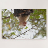 Neugieriger Affe, Costa Rica Capuchin Puzzle (Horizontal)