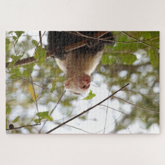 Neugieriger Affe, Costa Rica Capuchin Puzzle (Horizontal)