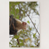 Neugieriger Affe, Costa Rica Capuchin Puzzle (Vertikal)