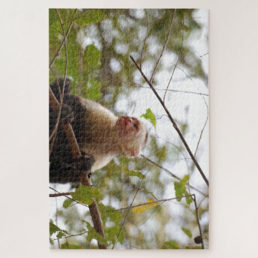 Neugieriger Affe, Costa Rica Capuchin Puzzle (Vertikal)