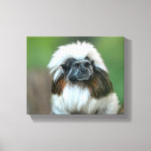 Neugieriger Affe Leinwanddruck (Vorderseite)