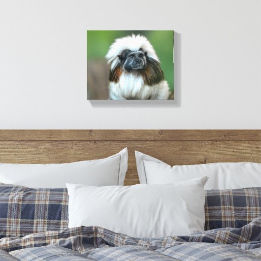 Neugieriger Affe Leinwanddruck (Insitu (Schlafzimmer))