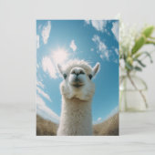 Neugieriger Alpaca unter der Sonne Einladung (Stehend Vorderseite)