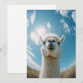 Neugieriger Alpaca unter der Sonne Einladung (Vorne/Hinten)