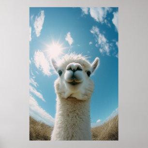 Neugieriger Alpaca unter der Sonne Poster