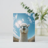 Neugieriger Alpaca unter der Sonne Postkarte (Stehend Vorderseite)