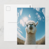 Neugieriger Alpaca unter der Sonne Postkarte (Vorne/Hinten)
