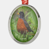 Neugieriger amerikanischer Robin im Gras Silbernes Ornament (Links)